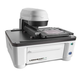 lionheart-lx